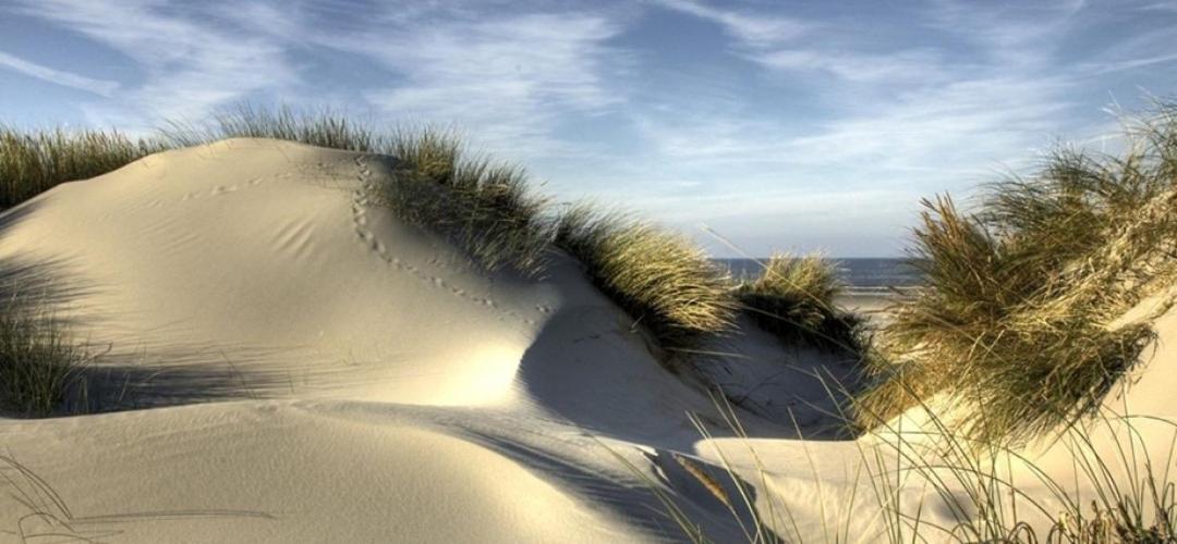 Villa Monique Koksijde Bagian luar foto